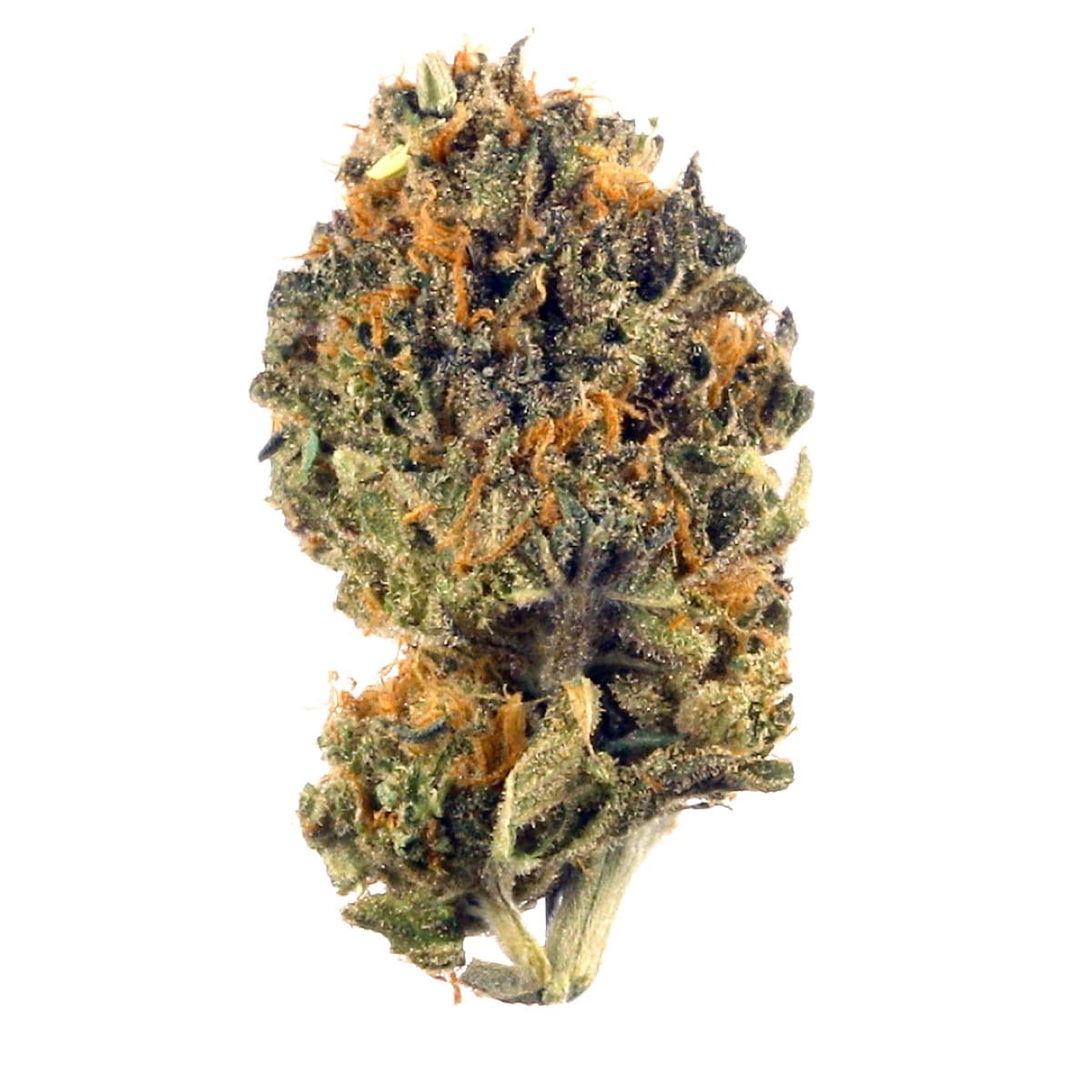 Purple Trainwreck