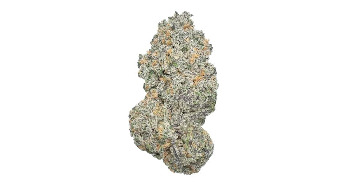 Raspberry Critical Kush