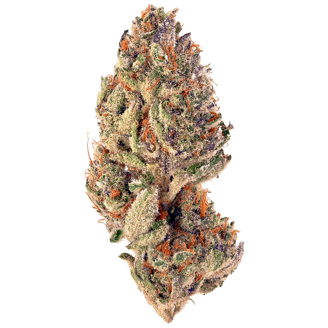 Tropicana Cookies