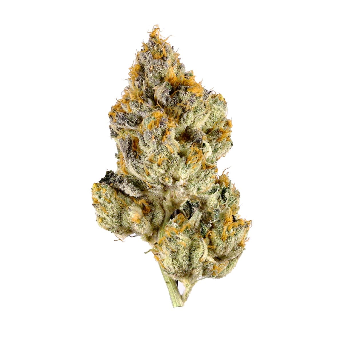 White Tahoe Cookies