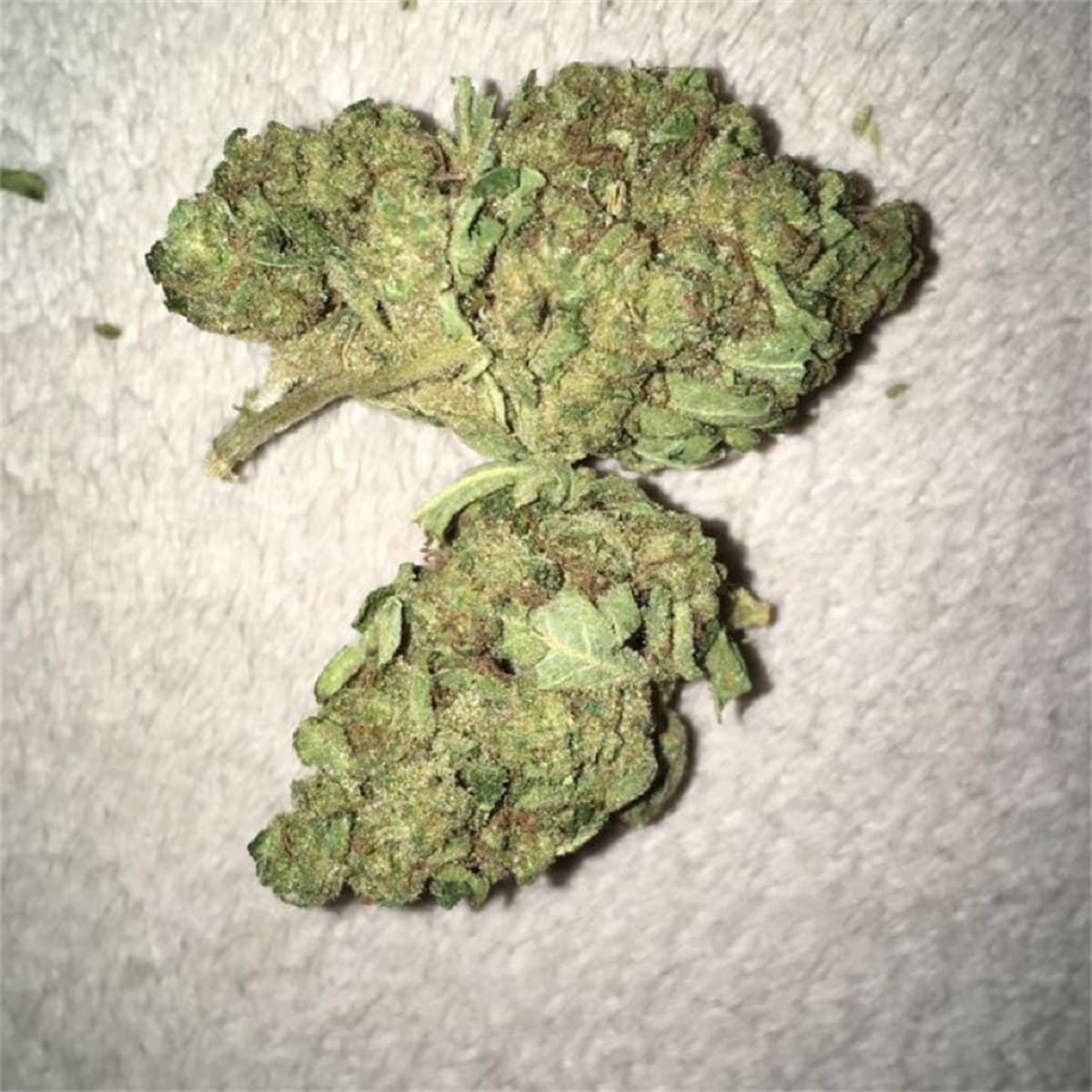 White Widow Regular